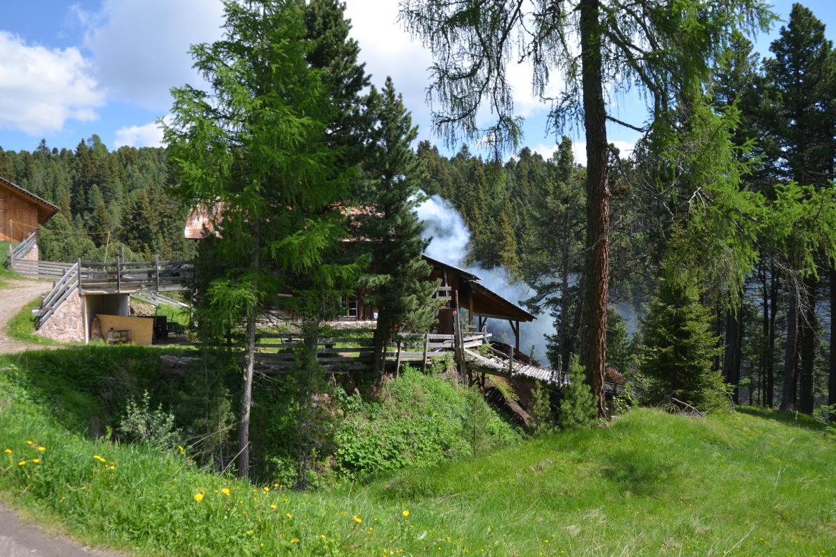 Platzer Alm 15.06.2023